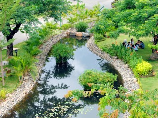 Bán đất mặt tiền đường bờ kênh , 31mx18m , ấp Đình xã Tân Phú Trung